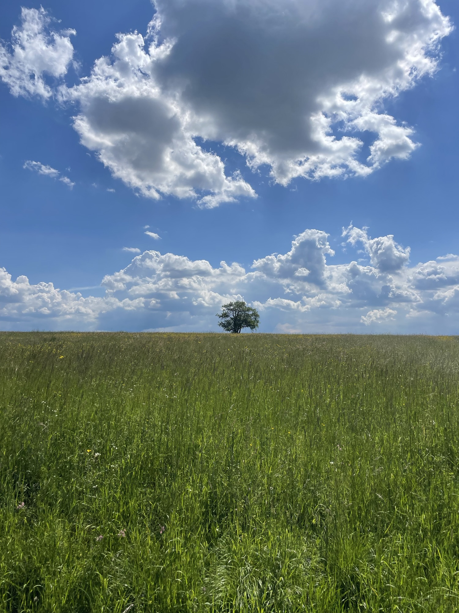 3. Een langzaam&nbsp;luxeleven