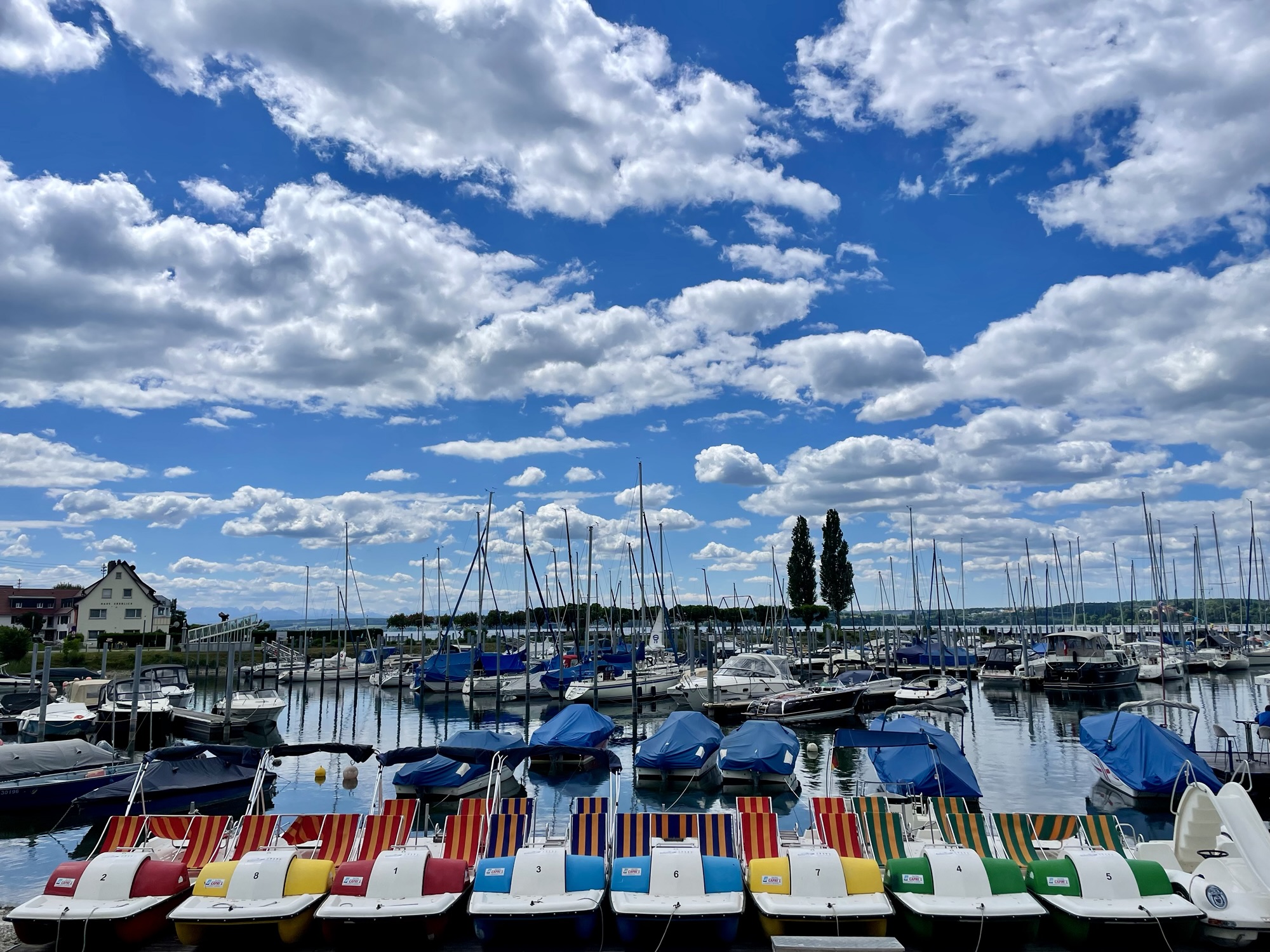 4. Hemels weer van de Vogezen tot de&nbsp;Bodensee