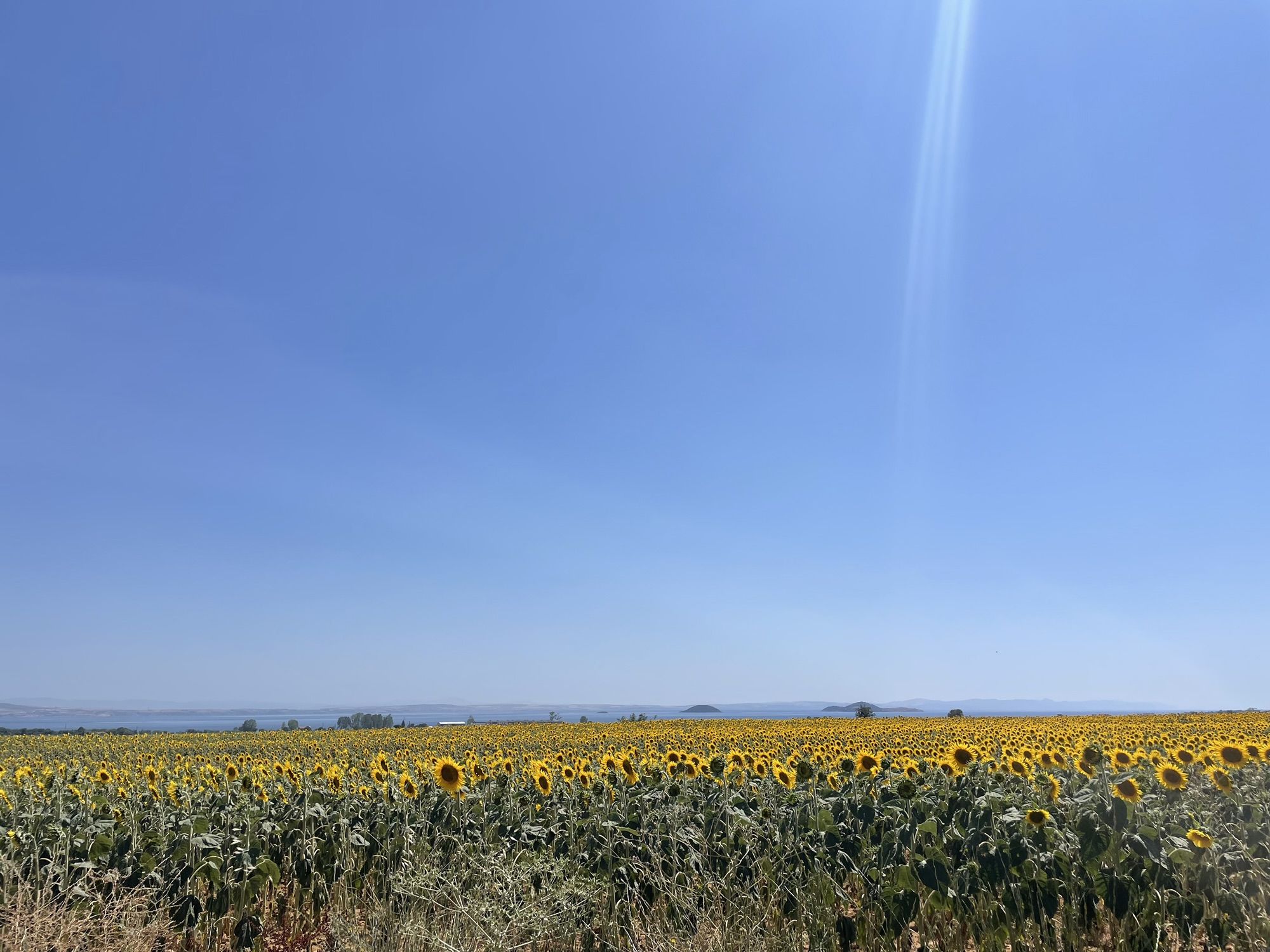 12. Merhaba Türkiye!