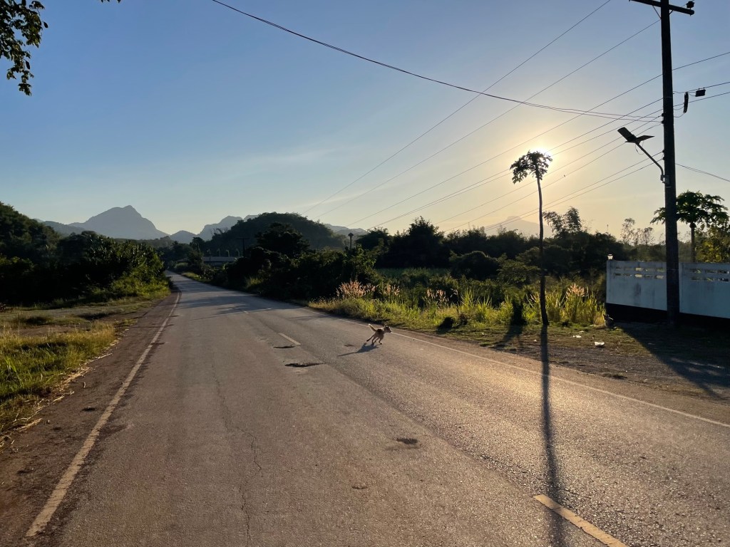 38. Lanterfanten en&nbsp;olifanten