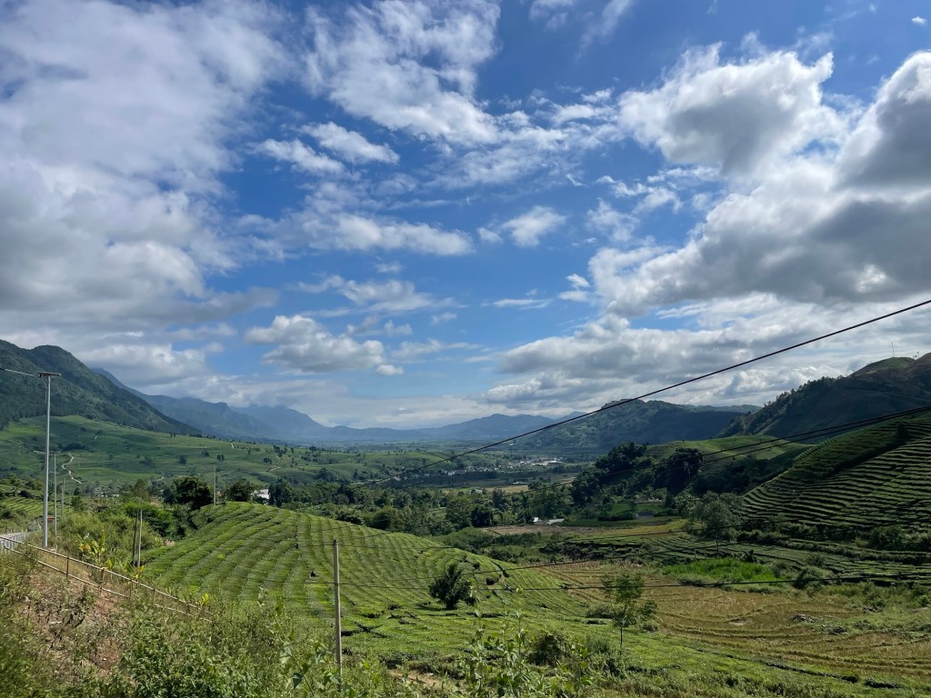 35. Hello? What’s the&nbsp;name.